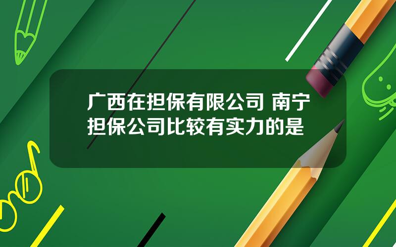 广西在担保有限公司 南宁担保公司比较有实力的是